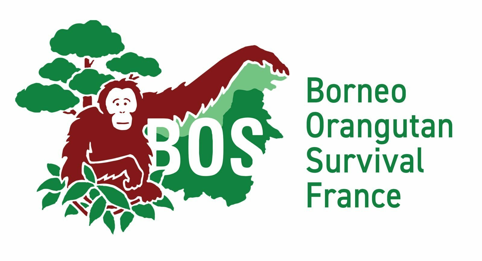 Logp Borneo Orang outan survival France